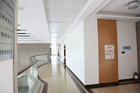 固态成色版抖音91免费厂家